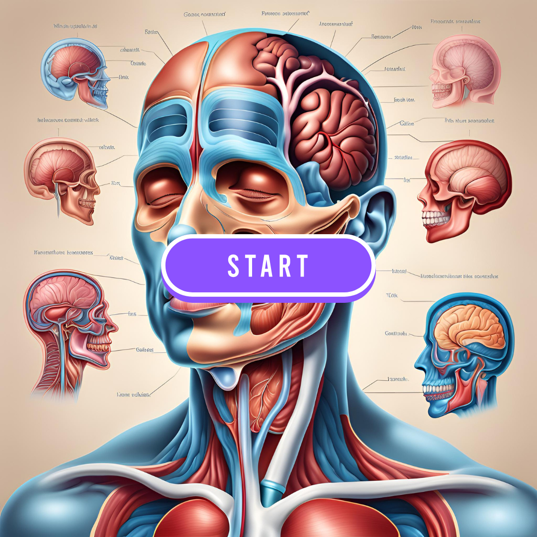 Test Your Knowledge of Human Anatomy