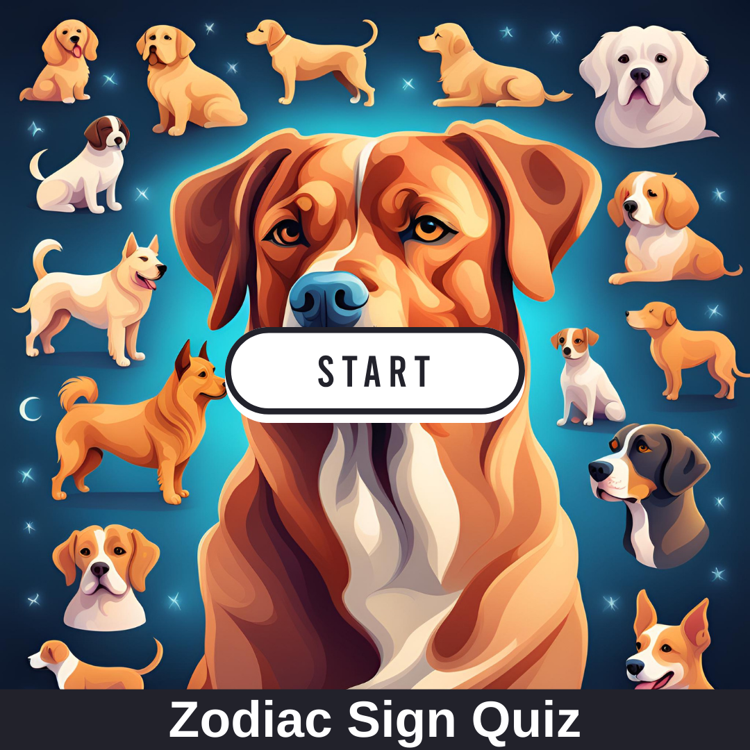 The Dog Breed Quiz: Test Your Knowledge of Dog Breeds